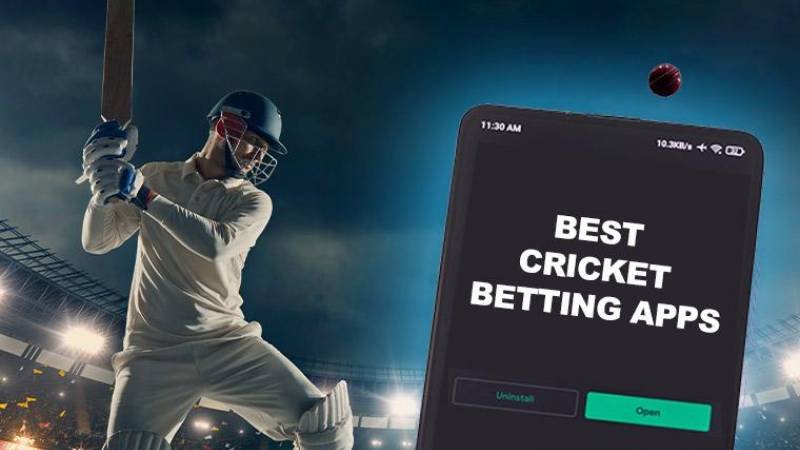 Trusted betting platform comparison in India